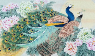 孔雀图什么人不能挂（孔雀图什么人不能挂）