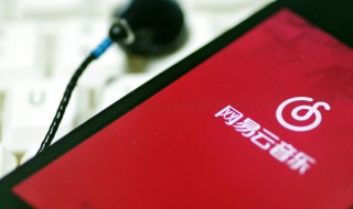 手机网易云音乐怎么上传歌词 手机网易云音乐怎么上传歌词翻译