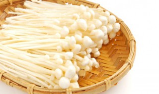 金针菇根部能吃吗（金针菇根部有毒吗）