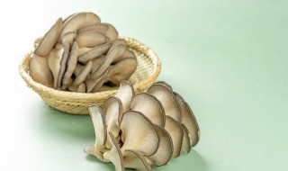 蘑菇过夜能吃吗（煮熟的蘑菇过夜能吃吗）