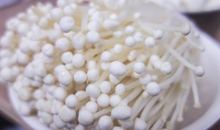 金针菇发黄还能吃吗（金针菇发黄还能吃吗有毒吗）