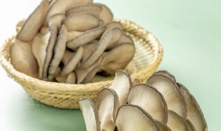 平菇发白还能吃吗 平菇发白还能吃吗