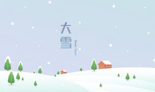 大雪是什么意思（鹅毛大雪是什么意思）
