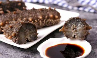 哪些人群不适合吃海参（哪些人群不适合吃海参食用海参需要注意哪些）