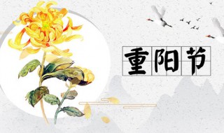 重阳节生日说说 重阳节生日的说说