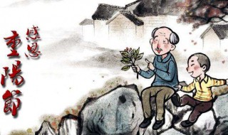 重阳节的感慨（重阳节感慨语）