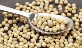 白胡椒粉的食用方法 白胡椒粉的食用方法视频