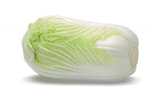 白菜怎么种植方法 白菜怎么种植方法视频教程