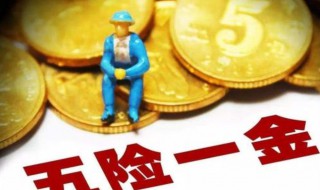 五险一金有哪些（五险一金有哪些保险）