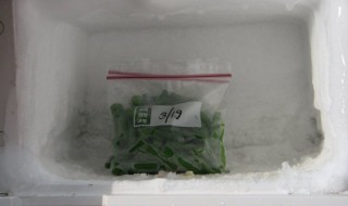 豆角冷冻储存的方法（豆角冷库保鲜5个月技术）