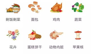 湿垃圾有哪些（湿垃圾有哪些物品20种）