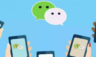 微信免密支付在哪里设置 微信怎么使用指纹支付