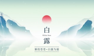 白露过后可以种什么蔬菜（白露过后可以种什么蔬菜和水果）