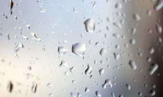 鞋上雨水痕迹怎么处理（鞋沾了雨水发黄怎么办）