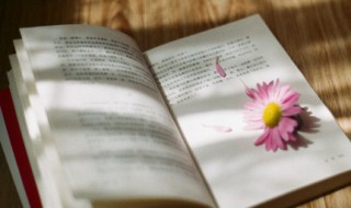 兄妹之间的唯美短句（兄妹之间的唯美短句10字）