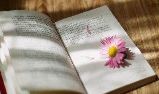 团结的句子励志（教师团结的句子励志）