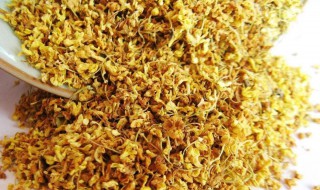 桂花酒的功效与作用（人参桂花酒的功效与作用）