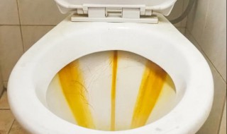 马桶壁污垢怎么去除（马桶壁污垢怎么去除掉）