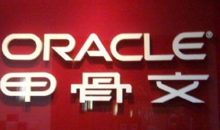 甲骨文公司有啥软件（甲骨文公司有什么软件）