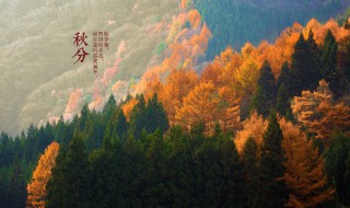 秋分谚语 秋分谚语及解释大全