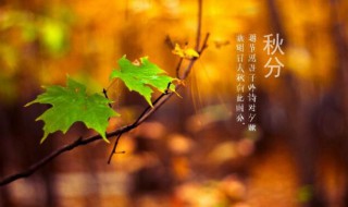 秋分是什么季节（秋分是什么季节什么意思）
