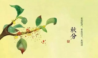 秋分什么时候（春分,秋分什么时候）