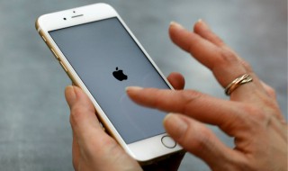 苹果手机上不了网怎么回事 苹果手机上不了网怎么回事4g