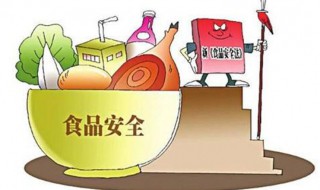 食品安全的重要性 食品安全的重要性论文