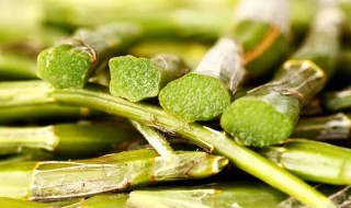 石解的功效与食用方法 石解怎么做汤食用