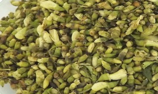 槐花茶的制作方法（槐花茶的制作方法扁豆角黄瓜奄咸葆）