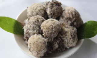 藏雪莲花的功效与作用及食用方法 藏雪莲花泡水喝的功效