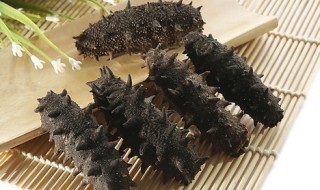 怎么选海参多少头好 海参买多少个头的好