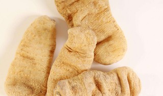 天麻的正确食用方法（排骨炖天麻的正确食用方法）