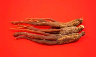 当参的功效与作用及食用方法 当参的功效与作用及食用方法及禁忌