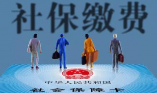 如何查询社保缴费情况 广东如何查询社保缴费情况