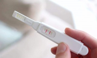 验孕棒的使用方法（淑女验孕棒的使用方法）
