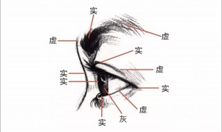 五官指的是哪五官（人的五官指的是哪五官）