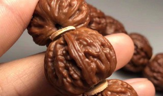 盘核桃的方法与技巧 盘核桃的方法与技巧怎么盘核桃