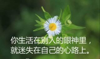 人生感言短句（人生感言短句子）