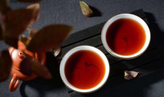 如何喝普洱茶 如何喝普洱茶才好喝