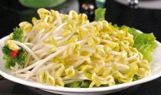 在家如何生黄豆芽（在家如何生黄豆芽视频教程）