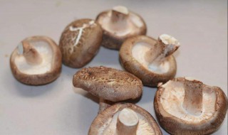 菘茸怎么保存（松茸怎么保鲜）