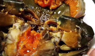青膏蟹该怎么保存 青膏蟹该怎么保存呢