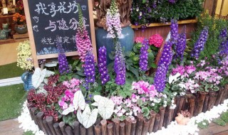 新手如何开花店 新手如何开花店?加盟or自营