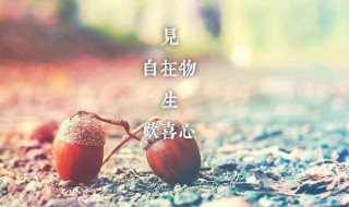 半夜发朋友圈的短句子 半夜发朋友圈的短句子搞笑