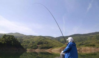 深水如何做钓黄尾 深水钓黄尾多长子线