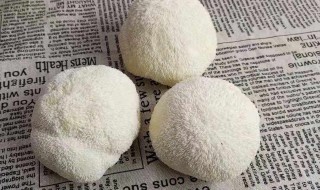 猴头菇冷冻的保存方法 猴头菇冷冻的保存方法视频