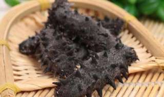 什么样的海参好呀 什么样的海参才是品质好的海参