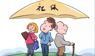 怎样查社保交了多少年 网上怎样查社保交了多少年