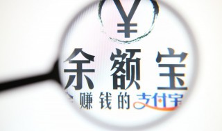 怎样登录支付宝主页